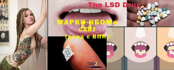 стаф Алзамай